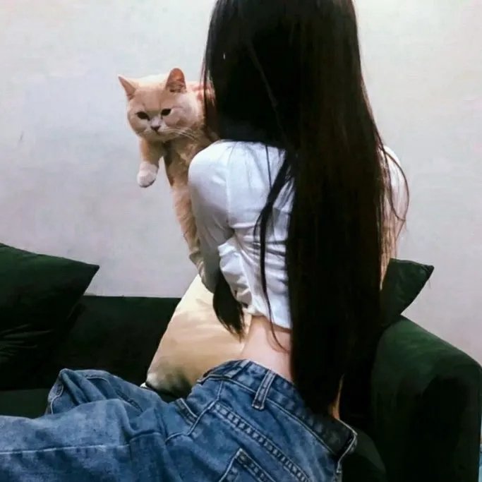 我是赵传奇
